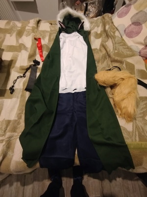 Carnival costume new