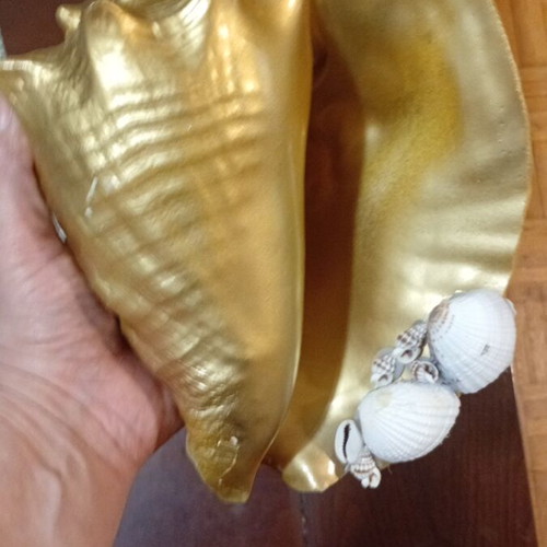 Vintage large seashell with artistic intervention like new