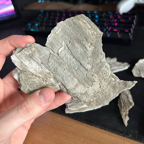 Gypsum crystals with bentonite inclusions from Patra new