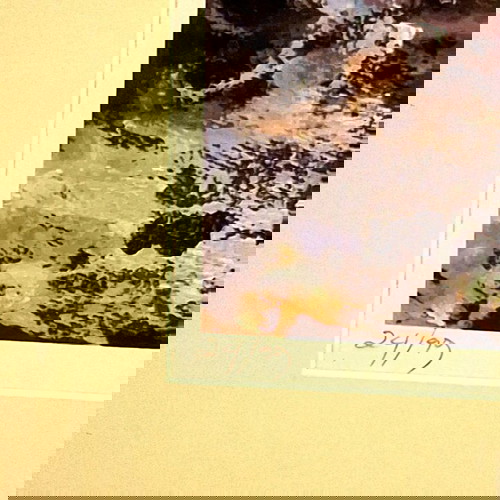 Μεταξοτυπία της Μίνας Παπαθεοδώρου Βαλυράκη σαν καινούργιο 2009