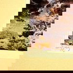 Μεταξοτυπία της Μίνας Παπαθεοδώρου Βαλυράκη σαν καινούργιο 2009