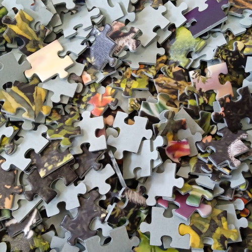 Παζλ Puzzle Land of the White Tiger Ravensburger 1000 κμτ. μεταχειρισμένο