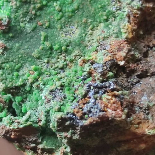 Conichalcite new, large and rich specimen from Lavrio