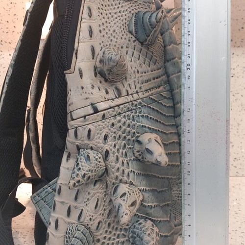 MadPax Backpack Dragon Design Like New Gray