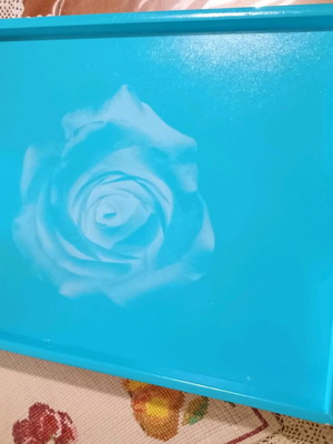 Plastic tray new with marks, code 542