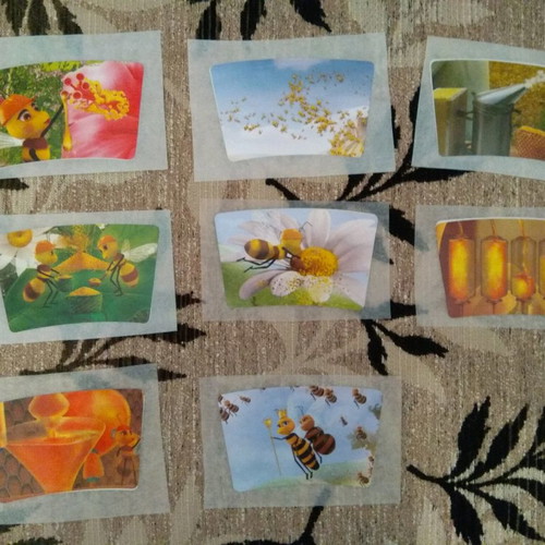 Sticker album set Ston Melissokosmo FAGE 2016 new