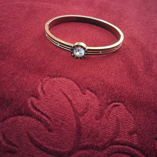 Fashion jewelry bracelet new, stainless steel, gold color