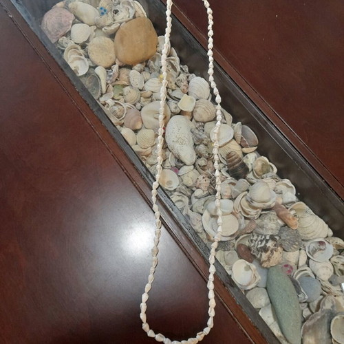 Shell necklace long new handmade