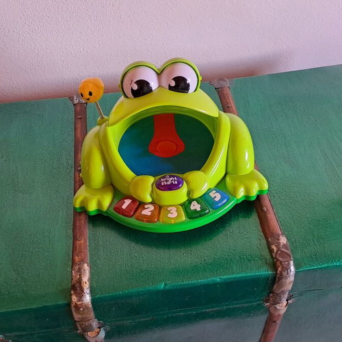 Frog toy bright used with batteries