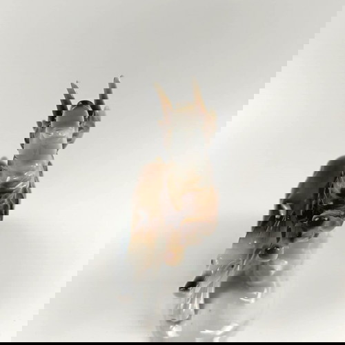 Vintage πορσελάνινο διακοσμητικό Carl Scheidig Gräfenthal σαν καινούργιο