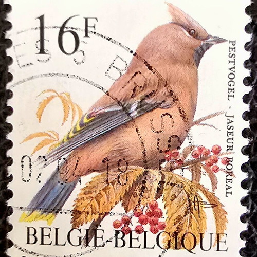 Belgium 1994 stamp used