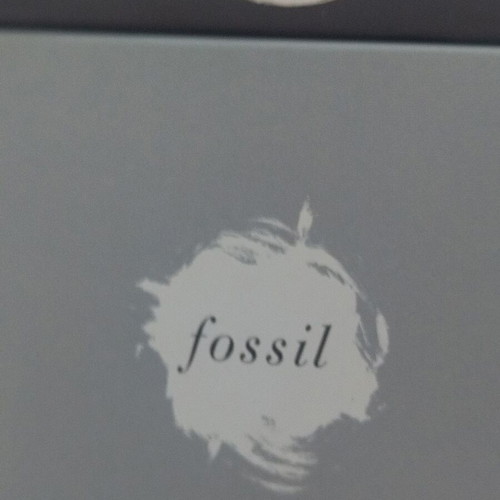 Fossil BQ3957 women's watch new, gold and silver