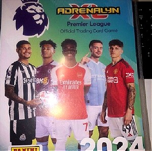 Panini Premier League 2024