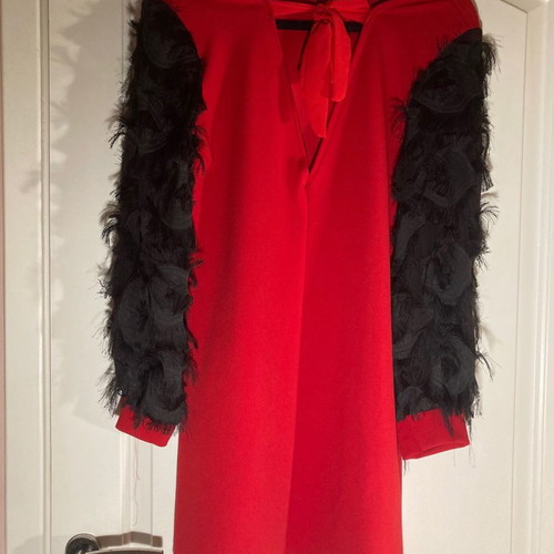 Red dress with sleeve details new
