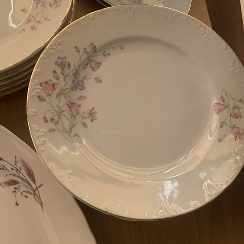 Floral vintage dish set used, includes 10 plates, 1 large platter, 2 small platters