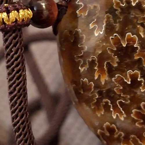 Ammonite pendant necklace, polished, adjustable string, 6cm
