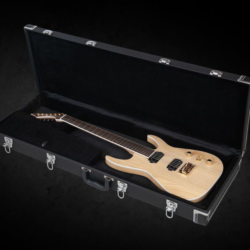 Feline Panther Blackmachine B6 used electric guitar