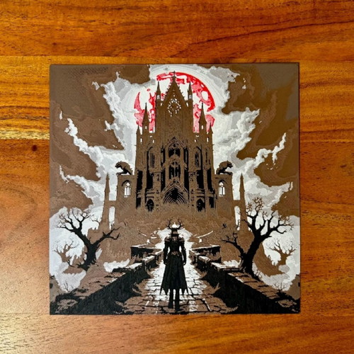 Bloodborne canvas new, plastic frame, fine quality
