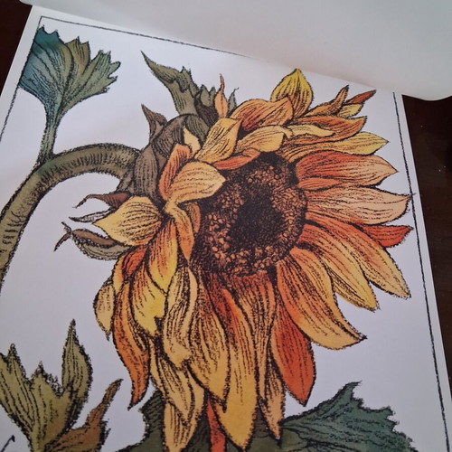 Vintage album with 12 botanical art prints by WINCH, like new