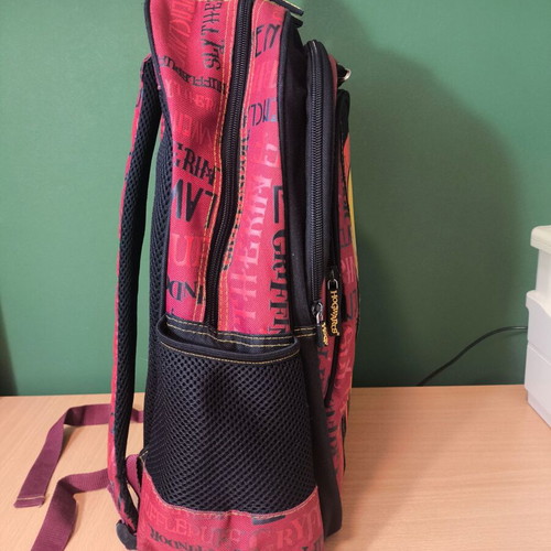 Polo Harry Potter school backpack for elementary