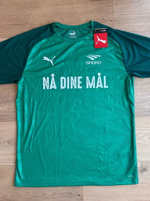 Puma Dry Cell T-shirt Reach Your Dreams new, green, size L