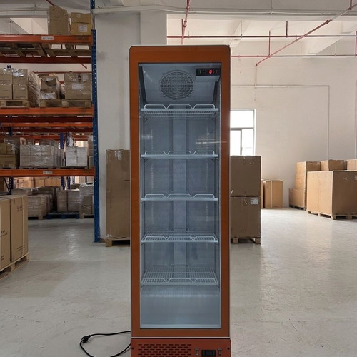 Vertical Display Fridge 55x55x203 cm, 395 Liters, New