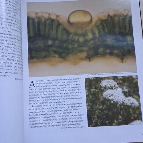 The Greece of National Geographic hardcover book like new, 305 pages