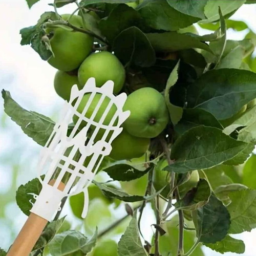 Fruit picker new for high branches