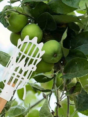 Fruit picker new for high branches