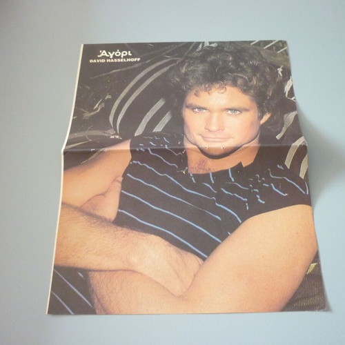 David Hasselhoff Arcadia double collectible poster used
