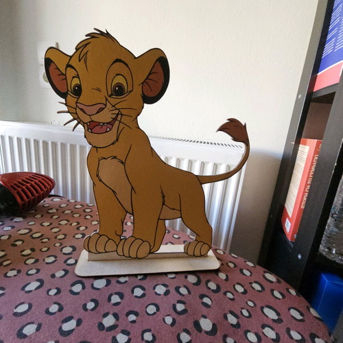 Baptism decoration set like new with fabrics, wicker vases, and Lion King figure