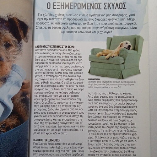 Dogs book like new, breeds, training, health, care, behavior, history