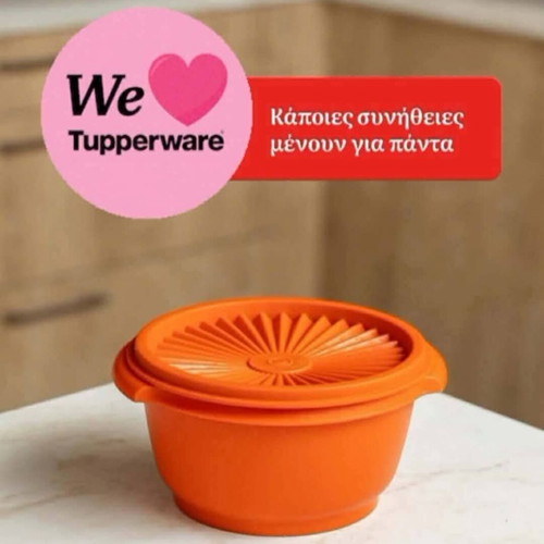 Tupperware vintage bowl set 4 pieces 340 ml ×2 800 ml ×2 new