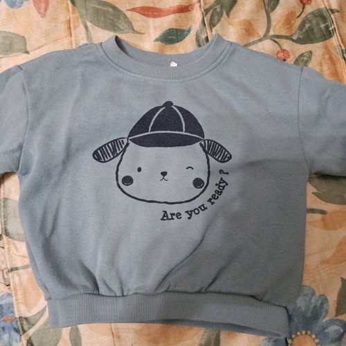 Used baby shirts for 12 to 24 months, 5 thick winter tops