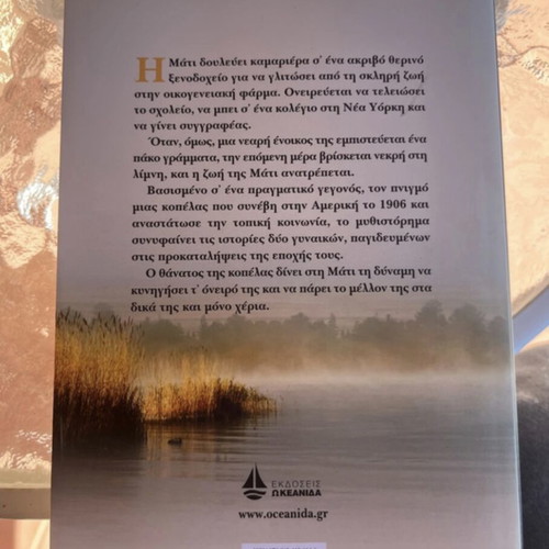 Northern Lights novel like new