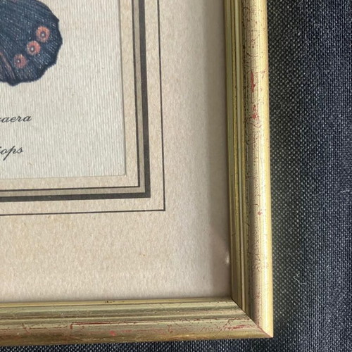 Decorative frame used 20cm x 26cm with butterfly print
