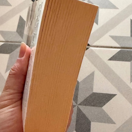 Revolutionary Road book like new, English paperback by Richard Yates