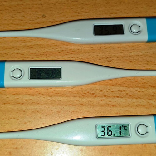 Digital Thermometer for Measuring Body Temperature New