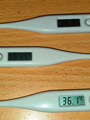 Digital Thermometer for Measuring Body Temperature New