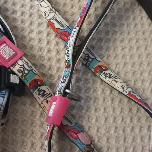 Max&Molly dog harness and leash size M like new