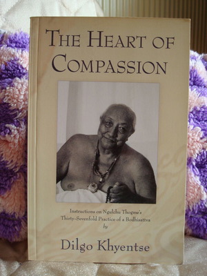 The Heart of Compassion Dilgo Khyentse βιβλίο σαν καινούργιο στα αγγλικά