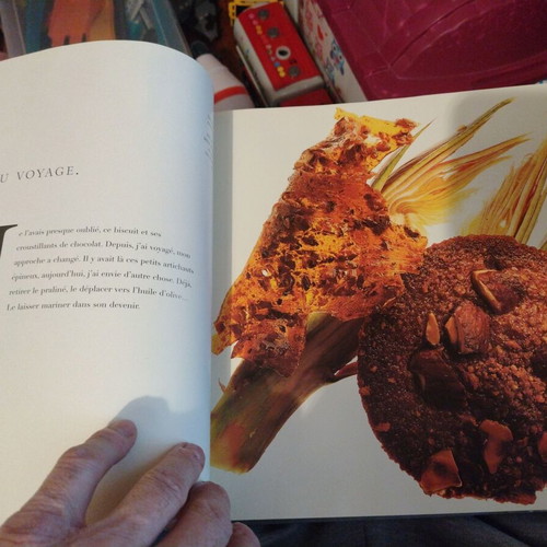 French Gastronomy Book new