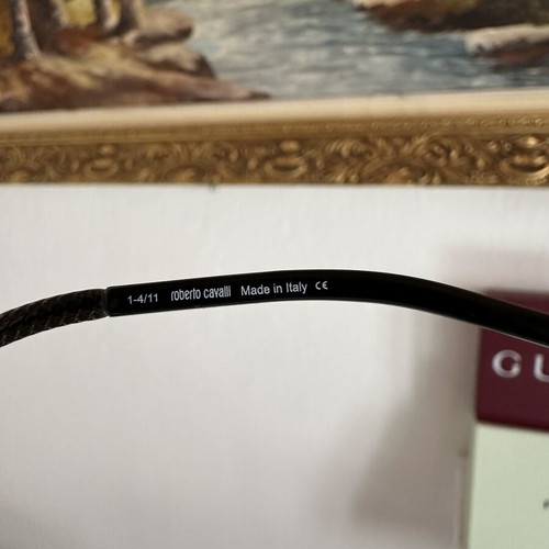Roberto Cavalli sunglasses 2010s, black