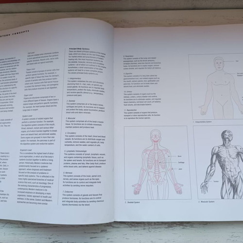 Essential Anatomy for Healing and Martial Arts used book