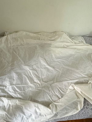 Bed sheet