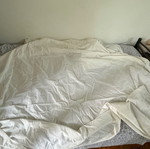 Bed sheet