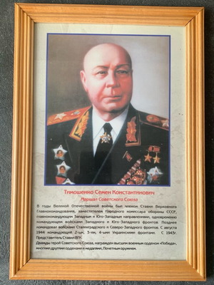 Timoshenko like new