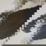  Μη με θυμάσαι, ζήσε τη στιγμή