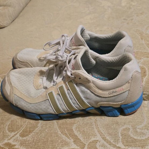 adidas gazelle silver green womens adidas Running CC Ride M  Shoe World