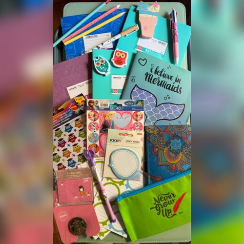 School supplies set with notebooks, pens, pencils, stickers, and case